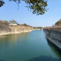 大阪城公園櫻花現狀！別當了大冤種