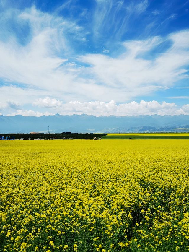 小長假去海北等地 這才是你嚮往的生活