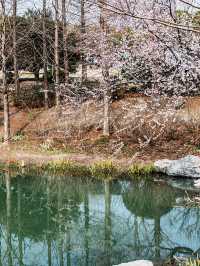 花開海上生態園