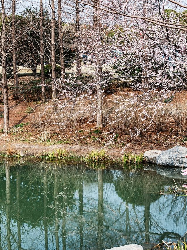 花開海上生態園