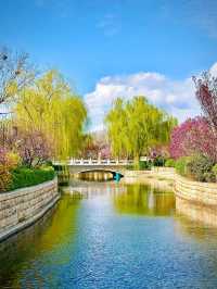 北京賞花路線分享