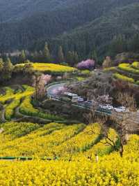 三月底婺源油菜花旅遊攻略