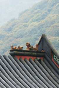 寧波尋春，免費又幽靜的天童寺簡直不要太美