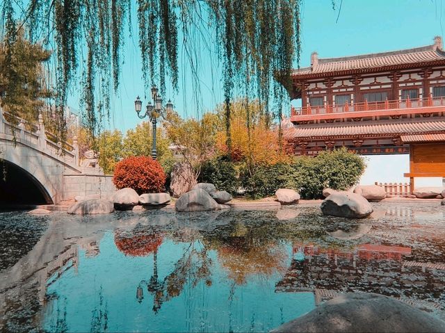 青龍古刹-櫻花綻放