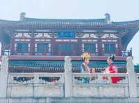 青龍古刹-櫻花綻放