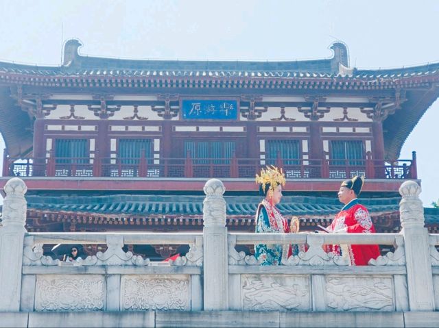 青龍古刹-櫻花綻放