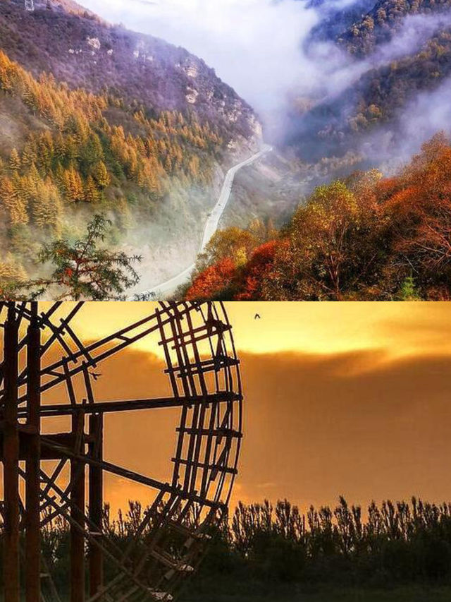 助您輕鬆吸引客流，玩轉寧夏！高性價比玩法等方向