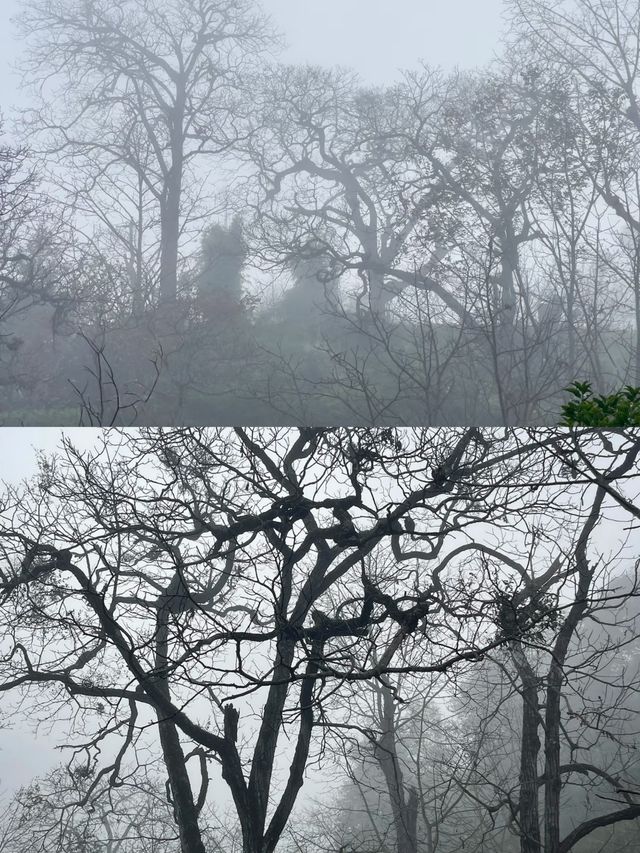 探索雲南古墨村，千年墨香飄四方
