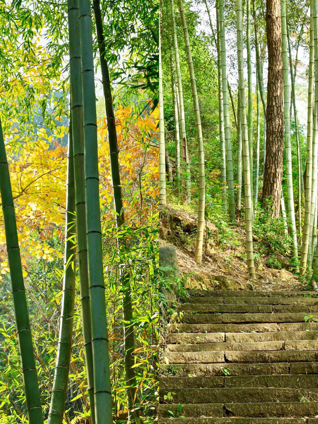 山前山後都是風景，有風無風都很自由——馬嶺古道