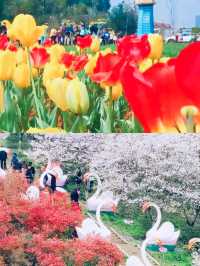 長沙旅遊攻略：網紅城市の香辣狂歡！
