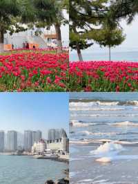 威海，中國唯一「雪窩子」與大海並存的城市！