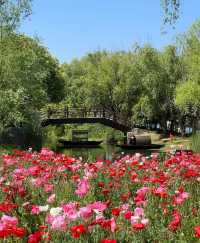 虎丘濕地公園