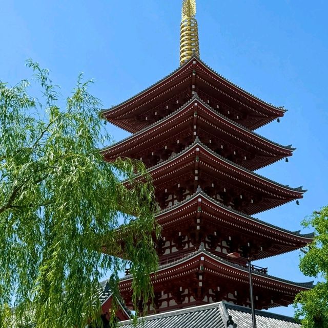 🌆重逢東京！這座城市永遠懂我的快樂密碼✨ 