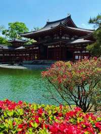 京都＆宇治雙城記，世界文化遺產之旅