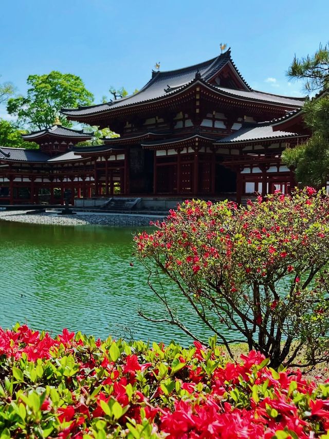 京都＆宇治雙城記，世界文化遺產之旅