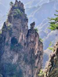 洛陽旅遊必備攻略（超全）