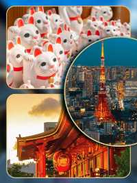 大阪京都奈良丨東京富士山包車唔使跟團