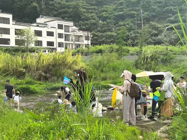 三天兩晚信宜馬安竹海治癒之旅