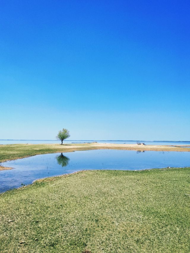 在杜蒙放空的一天