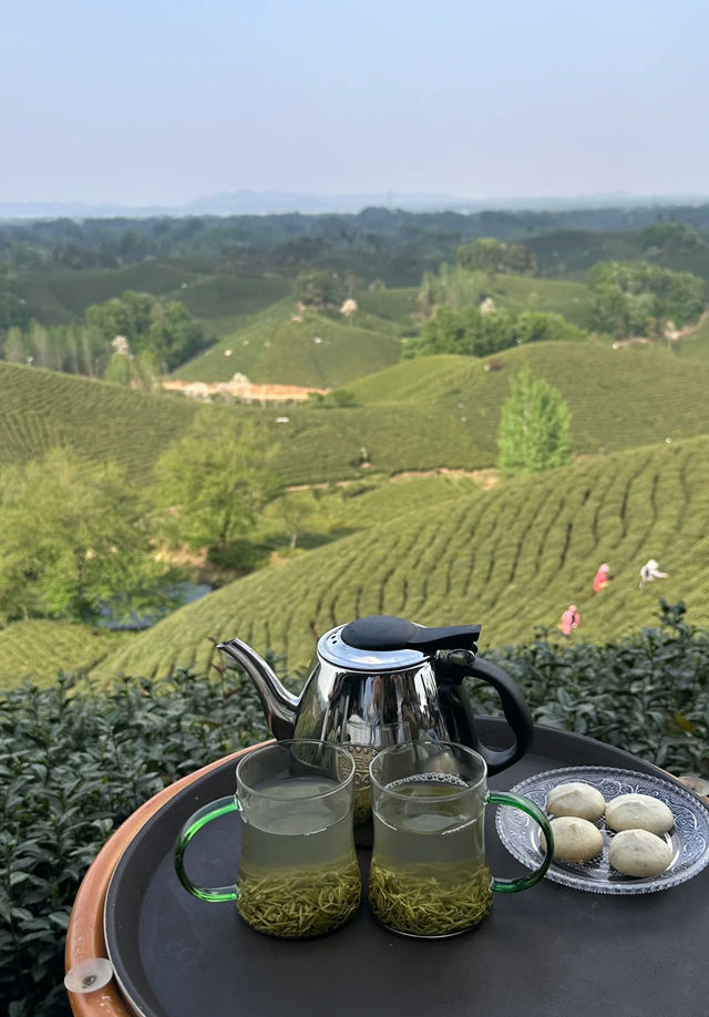 河南信陽旅遊攻略：帶你體驗茶園生活