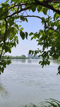 打卡太湖圖影濕地文化園