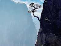 去一次黃山嘅成本太高啦