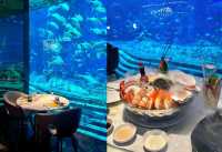 三亞亞特蘭蒂斯終極攻略：夢幻海洋之旅