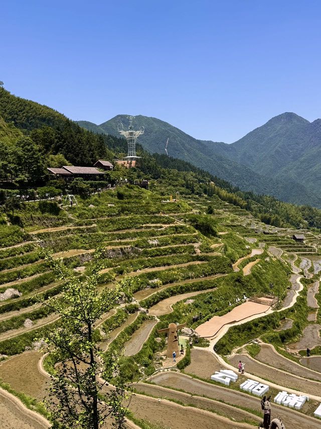 第一次嚟浙江雲和呢啲景點千祈唔好錯過