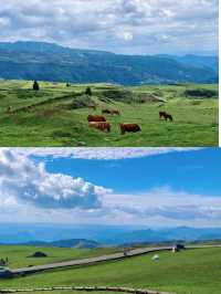六盤水已返，夏季避暑真係唔建議去呀因為…