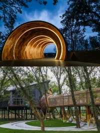 救命帶仔嚟現實版童話樹屋瞓住睇星空