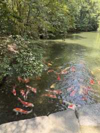 日本三大名園之一栗林公園
