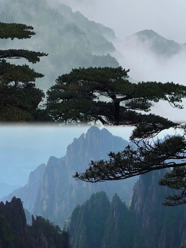▲呢度唔係華山亦唔係張家界