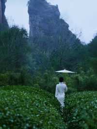雨季漫遊指南！一鍵解鎖福建賞雨寶藏地~