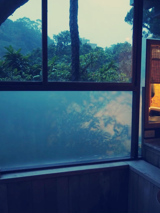  探秘台北陽明山，盡享溫泉之樂