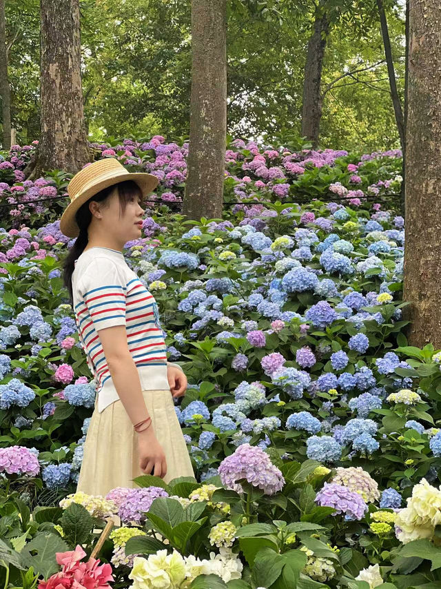 終於等到藍色嘅無盡夏啦