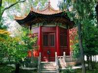 Step into China’s Past for Free: Xi’an Beilin Museum’s Open Door Days