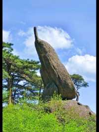 Majestic Huangshan on May Holiday 2025