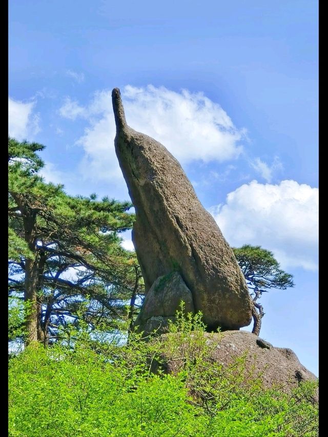 Majestic Huangshan on May Holiday 2025