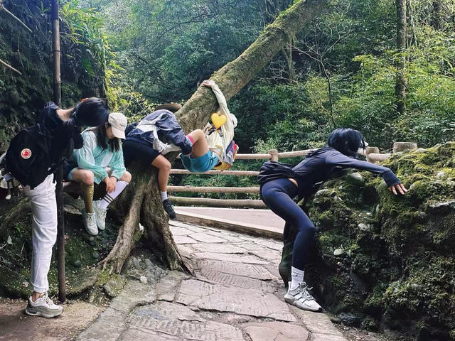閨蜜出遊必選！青城山的夢幻度假酒店