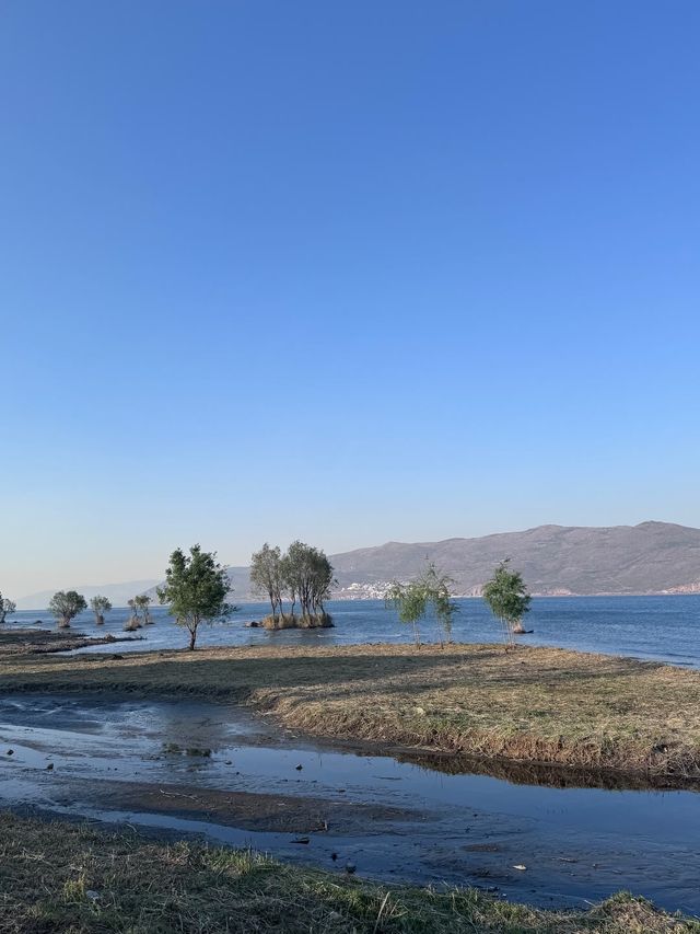 𝗗𝗮 𝗟𝗶大理·洱海「背靠蒼山，面向洱海」