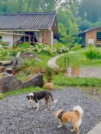 曾家山徒步旅遊攻略