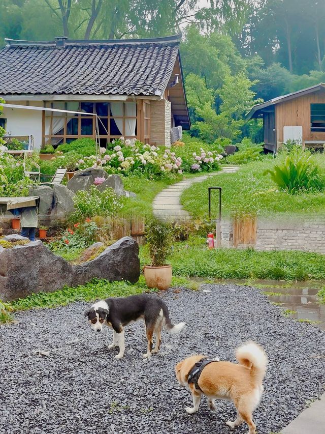 曾家山徒步旅遊攻略