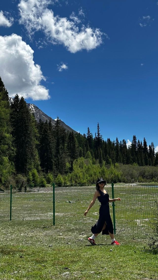 成都出發8小時！闖進理小路的野性美學世界