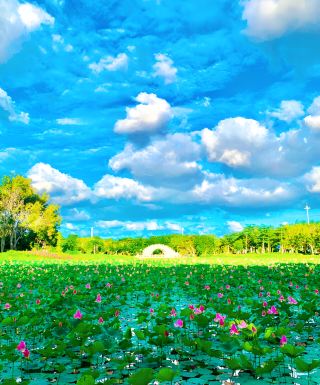 It's really in Quanzhou... not Hangzhou, so beautiful...