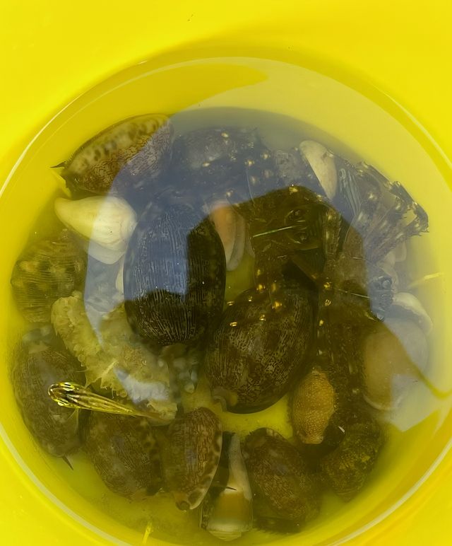 大家快啲衝呀！萬寧隱藏玩法大揭秘