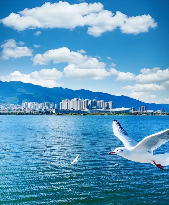 我終於明白女生一個人去旅行嘅意義！