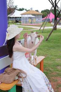 桂海晴嵐畢業季一齊嚟狂歡呢個夏天