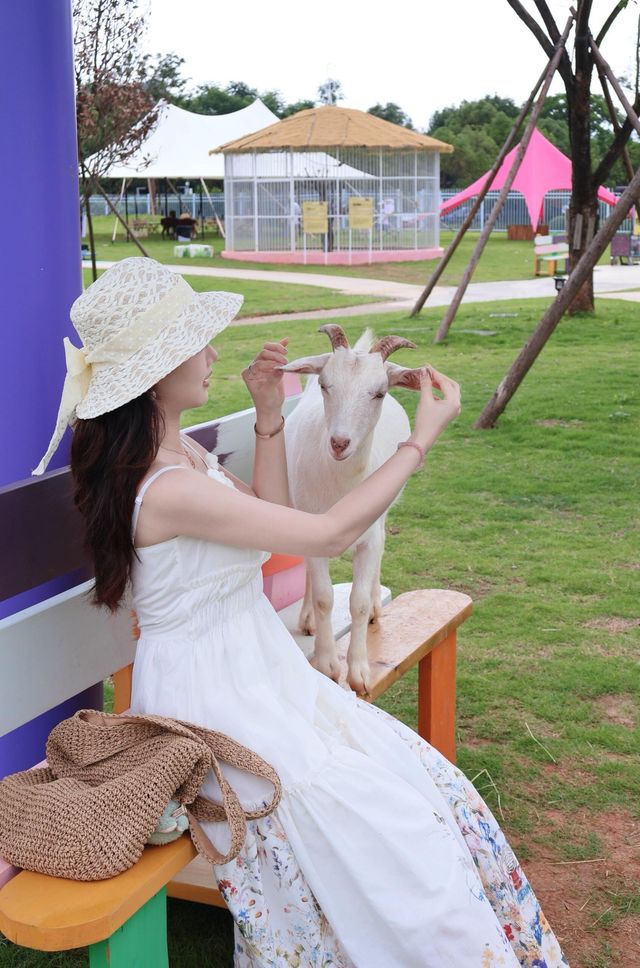 桂海晴嵐畢業季一齊嚟狂歡呢個夏天