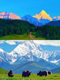 感動到喊，貢嘎滿足咗我對所有雪山嘅幻想...