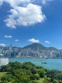 香港必打卡！故宮文化博物館邂逅維港畔的千年浪漫✨